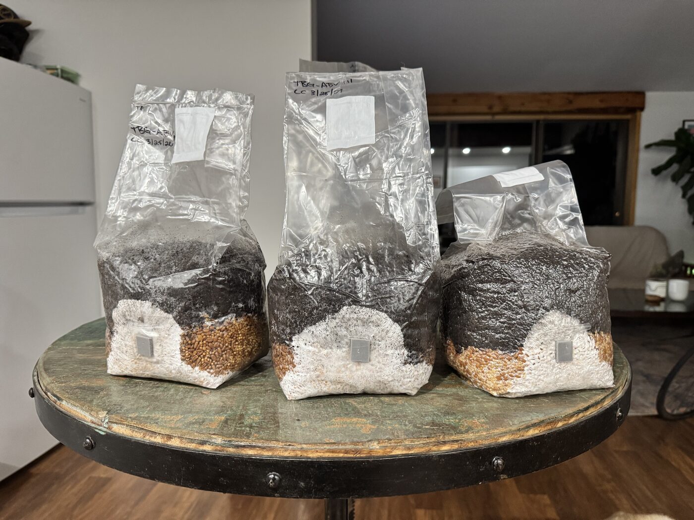 The bags in a kitchen