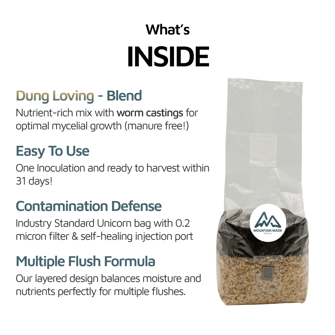 All in One Mushroom Grow Bag for Multiple Flushes