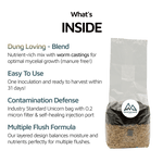 All in One Mushroom Grow Bag for Multiple Flushes