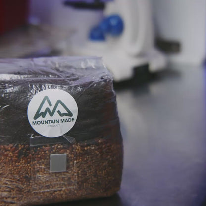 All in One Mushroom Grow Bag for Multiple Flushes