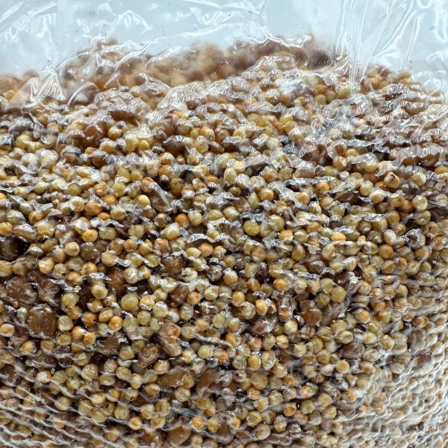 Multi Grain Matrix (4 lbs)