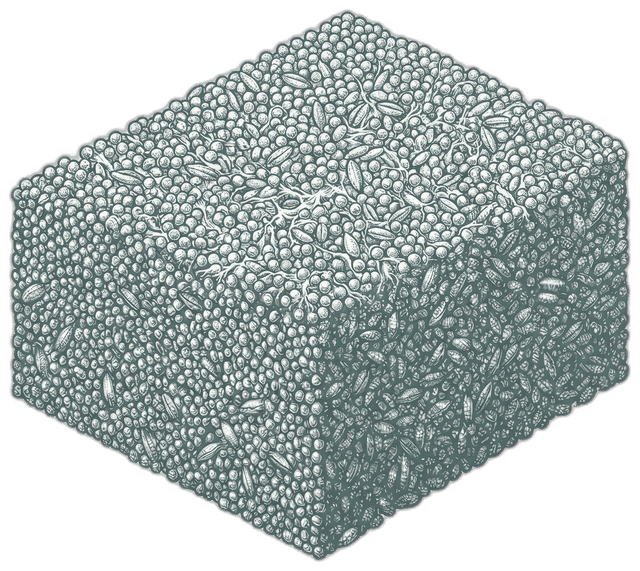 Grain spawn cross-section