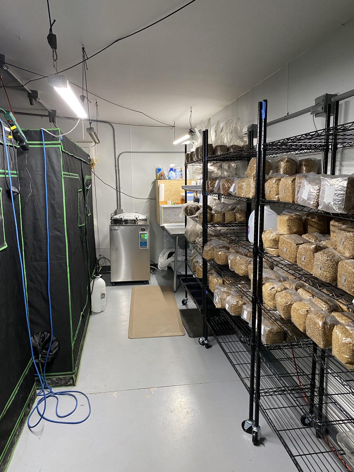 Grain spawn on the racks, fresh off the autoclave.
